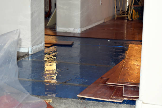 Professional Water Damage technician working in Bozrah, CT