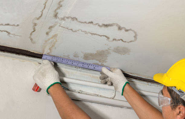 Reliable Water Damage contractor in Bozrah, CT by Water Damage Irwin